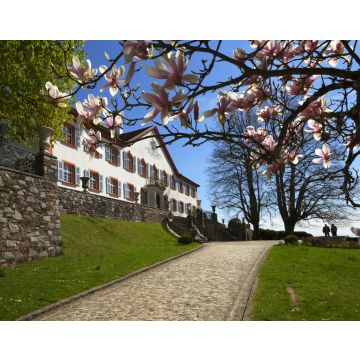 Lais Puzzle - Schloss Bürgeln bei Schliengen im Markgräflerland - 40, 100, 200, 500 & 1.000 Teile