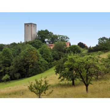 Lais Puzzle - Burg Greene in Niedersachsen - 40, 100, 200, 500 & 1.000 Teile