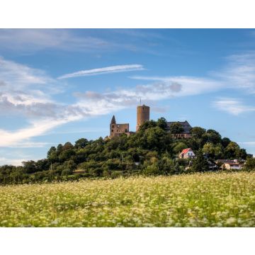 Lais Puzzle - Burg Gleiberg mit Sommerwiese - 40, 100, 200, 500 & 1.000 Teile