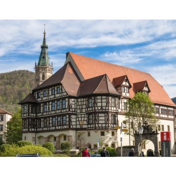 Lais Puzzle - Residenzschloss Bad Urach - 40, 100, 200, 500 & 1.000 Teile