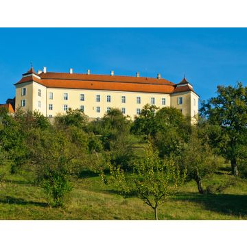 Lais Puzzle - Schloss in Ellwangen - 40, 100, 200, 500 & 1.000 Teile