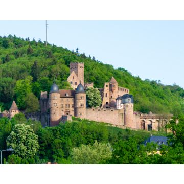 Lais Puzzle - Burg Wertheim - 40, 100, 200, 500 & 1.000 Teile