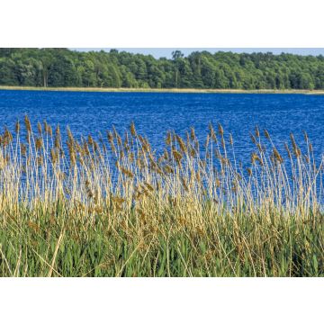 Lais Puzzle - Doba, Poland, Ermland-Masuren - 100, 200, 500 & 1.000 Teile