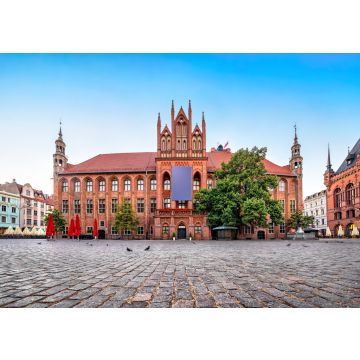 Lais Puzzle - Gotische Fassade des Alten Rathauses von Torun auf dem Alten Markt, Polen - 100, 200, 500 & 1.000 Teile