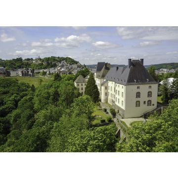 Lais Puzzle - Wiltz Schloss und Seniorenheim, Luxemburg - 100, 200, 500 & 1.000 Teile