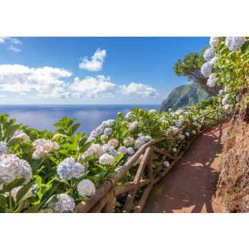 Lais Puzzle - Küstenweg mit Hortensien in Sao Miguel, Azoren Inseln - 100, 200, 500 & 1.000 Teile