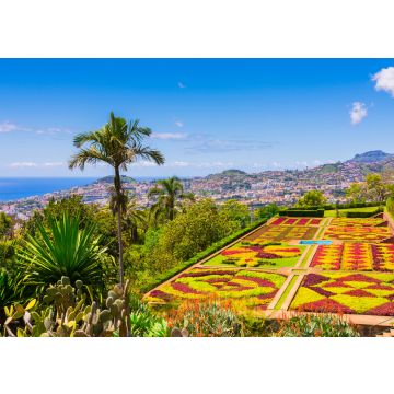Lais Puzzle - Botanischer Garten in Funchal, Insel Madeira, Portugal - 100, 200, 500 & 1.000 Teile