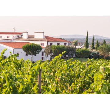 Lais Puzzle - Weingut Herdade das Servas in der Nähe von Estremoz, Bezirk Evora, Portugal - 100, 200, 500 & 1.000 Teile