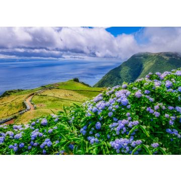 Lais Puzzle - Bild von schöner Landschaft mit Hortensien und einem Weg, der zum Atlantik auf den Azoren führt - 100, 200, 500 & 1.000 Teile