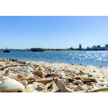 Lais Puzzle - Strand am Morgen, in Seixal, Portugal - 100, 200, 500 & 1.000 Teile