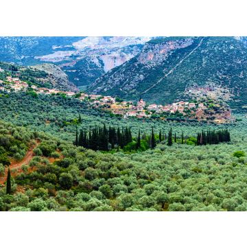 Lais Puzzle - Tal von Amfissa, ist eine Stadt in Phokis, Griechenland, Teil der Gemeinde Delphi - 100, 200, 500 & 1.000 Teile