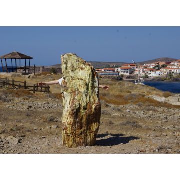 Lais Puzzle - Perifizierte Bäume auf Lesbos, Griechenland - 100, 200, 500 & 1.000 Teile