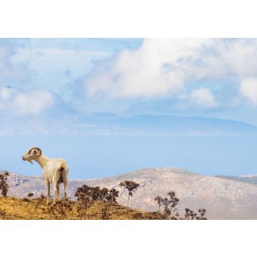 Lais Puzzle - Freistehende Ziege im Bergland der griechischen Kykladeninsel Andros mit der Insel Euböa im Hintergrund - 100, 200, 500 & 1.000 Teile