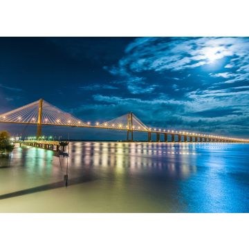 Lais Puzzle - Rosario-Victoria Brücke über den Fluss Parana, Argentinien - 100, 200, 500, 1.000 & 2.000 Teile