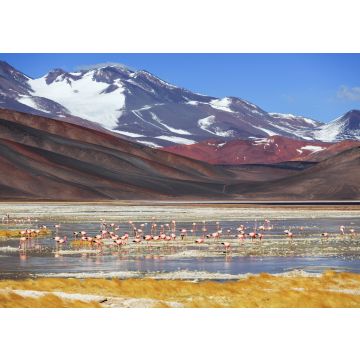 Lais Puzzle - Schwarze Lagune (Laguna Negra), Vulkan Pissis, Catamarca, Argentinien - 100, 200, 500, 1.000 & 2.000 Teile