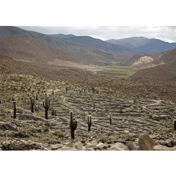 Lais Puzzle - Präkolumbianische Ruinen (Ruinas de Tastil) in der Puna, Salta, Argentinien - 100, 200, 500, 1.000 & 2.000 Teile