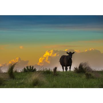 Lais Puzzle - Pampa-Landschaft, La Pampa, Argentinien - 100, 200, 500, 1.000 & 2.000 Teile