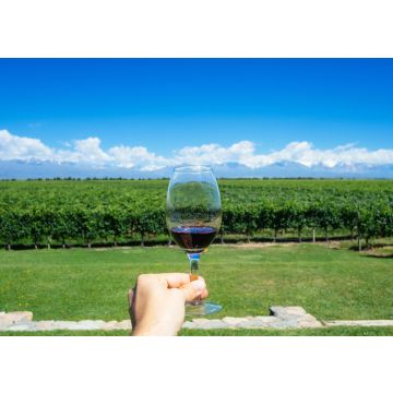 Lais Puzzle - Männliche Hand hält ein Glas Wein mit Anden und Weingut im Hintergrund in Mendonza, Argentinien - 100, 200, 500, 1.000 & 2.000 Teile