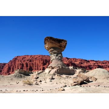 Lais Puzzle - Blick auf die Formation El Hongo im Ischigualasto Provincial Park oder Valle de la Luna, San Juan, Argentinien. - 100, 200, 500, 1.000 & 2.000 Teile