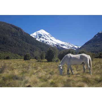 Lais Puzzle - Südwand des Vulkans Lanin im Lanin-Nationalpark, Neuquén, Argentinien - 100, 200, 500, 1.000 & 2.000 Teile