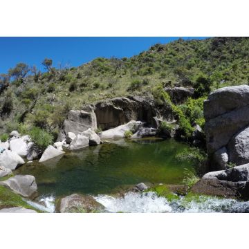 Lais Puzzle - Naturschwimmbad mit schönen grünen Farben, Laguna de las uvas in San Luis, Argentinien - 100, 200, 500, 1.000 & 2.000 Teile