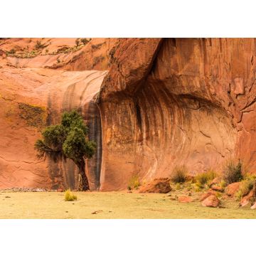 Lais Puzzle - Oase in der Inca Cueva in der Nähe von Humahuaca in der Provinz Jujuy im Norden Argentiniens. - 100, 200, 500, 1.000 & 2.000 Teile