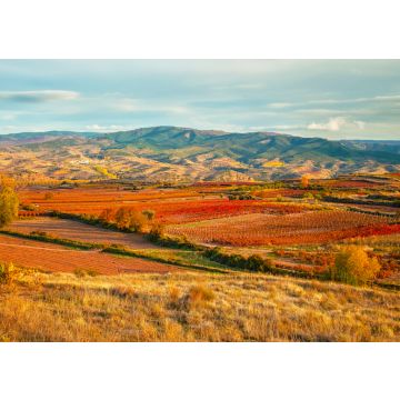 Lais Puzzle - Landschaft mit Weinbergen in La Rioja, Argentinien - 100, 200, 500, 1.000 & 2.000 Teile