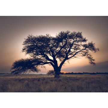 Lais Puzzle - Pampa-Landschaft, einsamer Baum, La Pampa, Argentinien - 100, 200, 500, 1.000 & 2.000 Teile