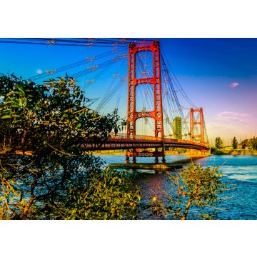 Lais Puzzle - Die Marcial-Candioti-Brücke, besser bekannt als die Hängebrücke von Santa Fe, ist eine Hängebrücke in der Stadt Santa Fe, Argentinien - 100, 200, 500, 1.000 & 2.000 Teile