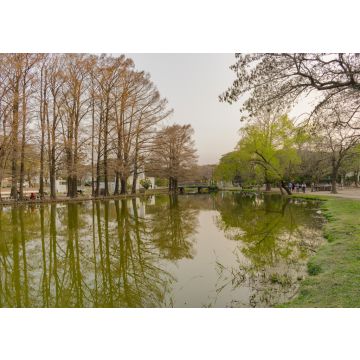 Lais Puzzle - 2 de Febrero Park Resistencia - Chaco - Argentinien - 100, 200, 500, 1.000 & 2.000 Teile