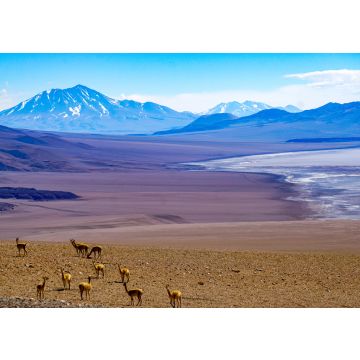 Lais Puzzle - Blick auf die hochgelegene Wüste in der Puna-Region von Salta, Argentinien - 100, 200, 500, 1.000 & 2.000 Teile