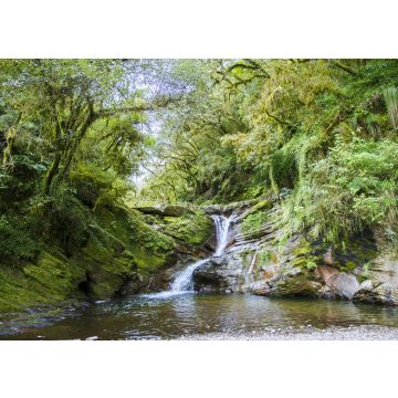Lais Puzzle - Wasserfall und Bach in den Wäldern des Nationalparks Los Sosa in Tucumán, Argentinien - 100, 200, 500, 1.000 & 2.000 Teile