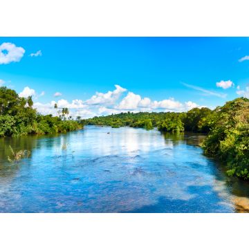 Lais Puzzle - Panoramablick vom Fluss Iguazu auf die Ufer des subtropischen Regenwaldes. Der Iguazu-Nationalpark liegt in der Provinz Misiones, Argentinien - 100, 200, 500, 1.000 & 2.000 Teile