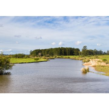 Lais Puzzle - Feldlandschaft mit Bach und Eukalyptusaufforstung in Federacion Entre Rios Argentinien - 100, 200, 500, 1.000 & 2.000 Teile