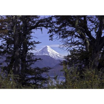 Lais Puzzle - Vulkan Lanín, Neuquén, Argentinien - 100, 200, 500, 1.000 & 2.000 Teile