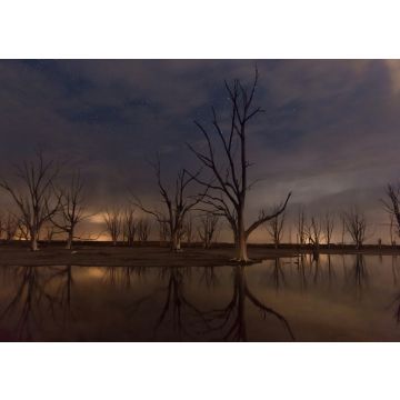 Lais Puzzle - Nachtaufnahme der Ruinen von Epecuen, die Sterne erhellen den Himmel in der Nähe der Stadt Carhue, Provinz Buenos Aires, Argentinien - 100, 200, 500, 1.000 & 2.000 Teile