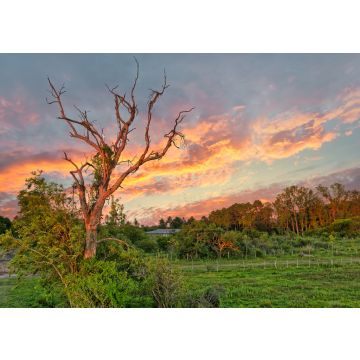 Lais Puzzle - Feuchtgebiete im Naturschutzgebiet Nationalpark Esteros del Ibera, Colonia Carlos Pellegrini, Corrientes, Argentinien - 100, 200, 500, 1.000 & 2.000 Teile