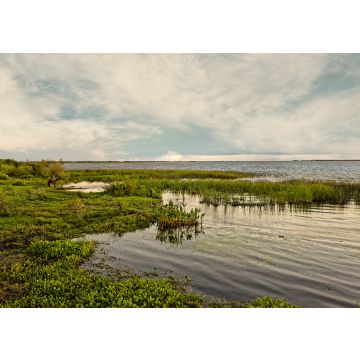 Lais Puzzle - Feuchtgebiete im Naturschutzgebiet Esteros del Ibera National Park, Colonia Carlos Pellegrini, Corrientes, Argentinien - 100, 200, 500, 1.000 & 2.000 Teile