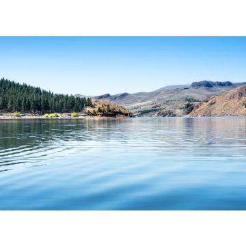 Lais Puzzle - See, Kiefern und Berge in der Provinz Neuquén, Argentinien - 100, 200, 500, 1.000 & 2.000 Teile