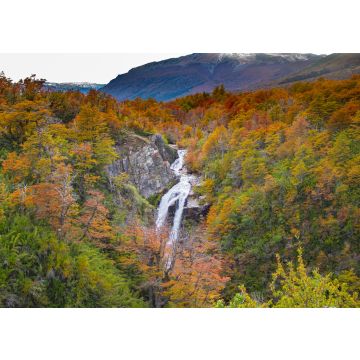 Lais Puzzle - Wasserfall an einer Straße in Patagonien. Irgendwo in der Straße "Siete lagos". Neuquén - Argentinien - 100, 200, 500, 1.000 & 2.000 Teile
