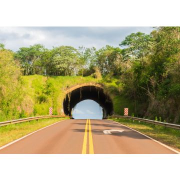 Lais Puzzle - Ein Blick auf den Ökodukt (eine Wildtierbrücke) an der Nationalstraße 101 in Argentinien (Provinz Misiones) - 100, 200, 500, 1.000 & 2.000 Teile