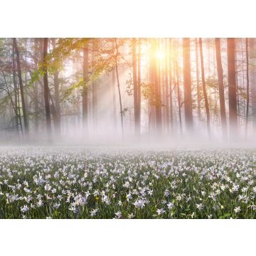 Lais Puzzle - Narzissen bei Sonnenaufgang. Tal der Narzissen, Ukraine - 100, 200, 500, 1.000 & 2.000 Teile