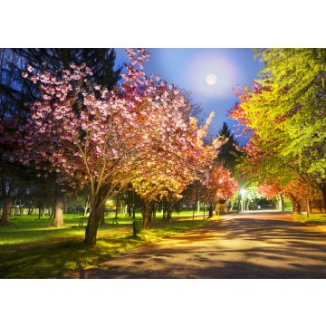 Lais Puzzle - Ukrainische Sakura in den Karpaten - 100, 200, 500, 1.000 & 2.000 Teile