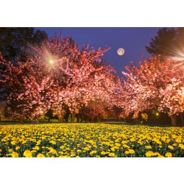 Lais Puzzle - Ukrainische Sakura in den Karpaten - 100, 200, 500, 1.000 & 2.000 Teile