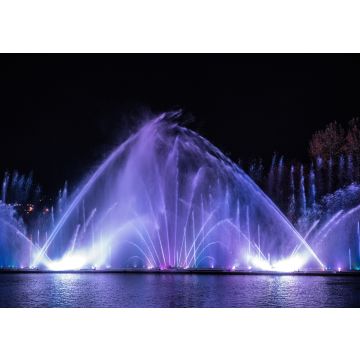 Lais Puzzle - Musikalischer Multimedia-Brunnen mit bunten Lichtern bei Nacht. Ukraine, Winnyzaa - 100, 200, 500, 1.000 & 2.000 Teile