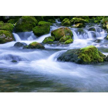 Lais Puzzle - Waldbach - 100, 200, 500 & 1.000 Teile