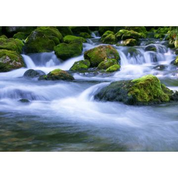 Lais Puzzle - Waldbach - 1.000 Teile