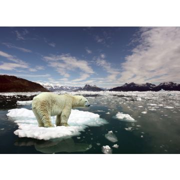 Lais Puzzle - Eisbär auf Scholle - 100, 200, 500 & 1.000 Teile