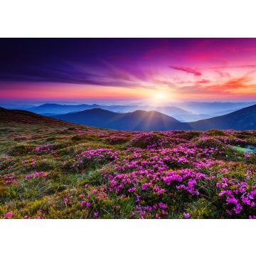 Lais Puzzle - Blumen - 100, 200, 500 & 1.000 Teile