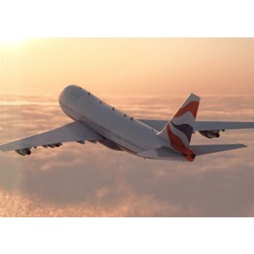 Lais Puzzle - Kommerzielles Flugzeug - 100, 200, 500 & 1.000 Teile